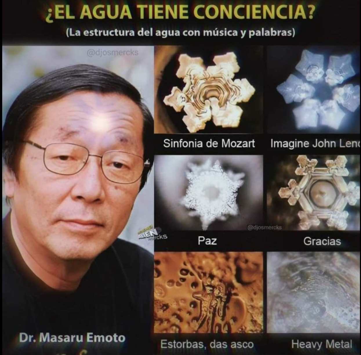 Cristales de agua bajo el microscopio en el experimento de Masaru Emoto