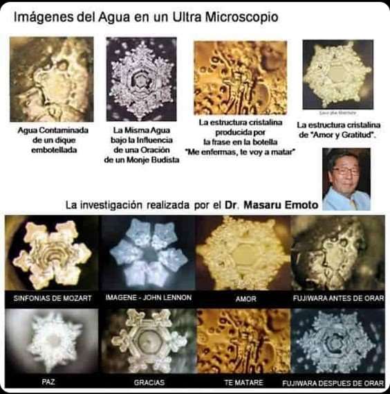 Segundos Cristales de agua bajo el microscopio experimento de Masaru Emoto