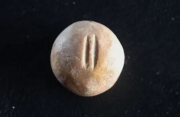 arqueologos-han-descubierto-un-artefacto-inusual.jpg