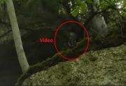 Fairy-Hunter-graba-pequenos-hombres-verdes-en-el-bosque.jpg