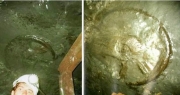 Rueda-300-Millones-de-Anos-Descubierta-Mina-Ucraniana.jpg