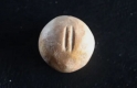 arqueologos-han-descubierto-un-artefacto-inusual.jpg
