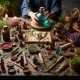 plantas-comestibles-para-ahuyentar-malos-espiritus2.jpg