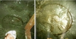 Rueda-300-Millones-de-Anos-Descubierta-Mina-Ucraniana.jpg