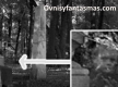 fantasmas-real.jpg